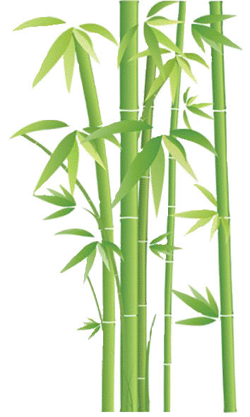 bambou tissu oreiller ergonomique